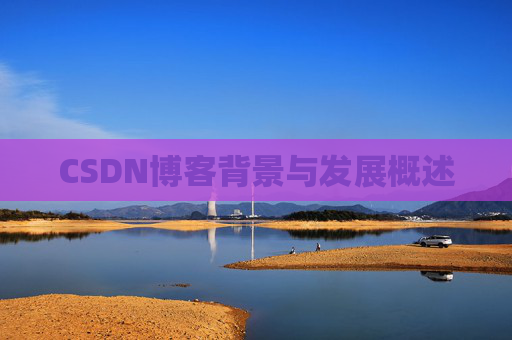 CSDN博客背景与发展概述